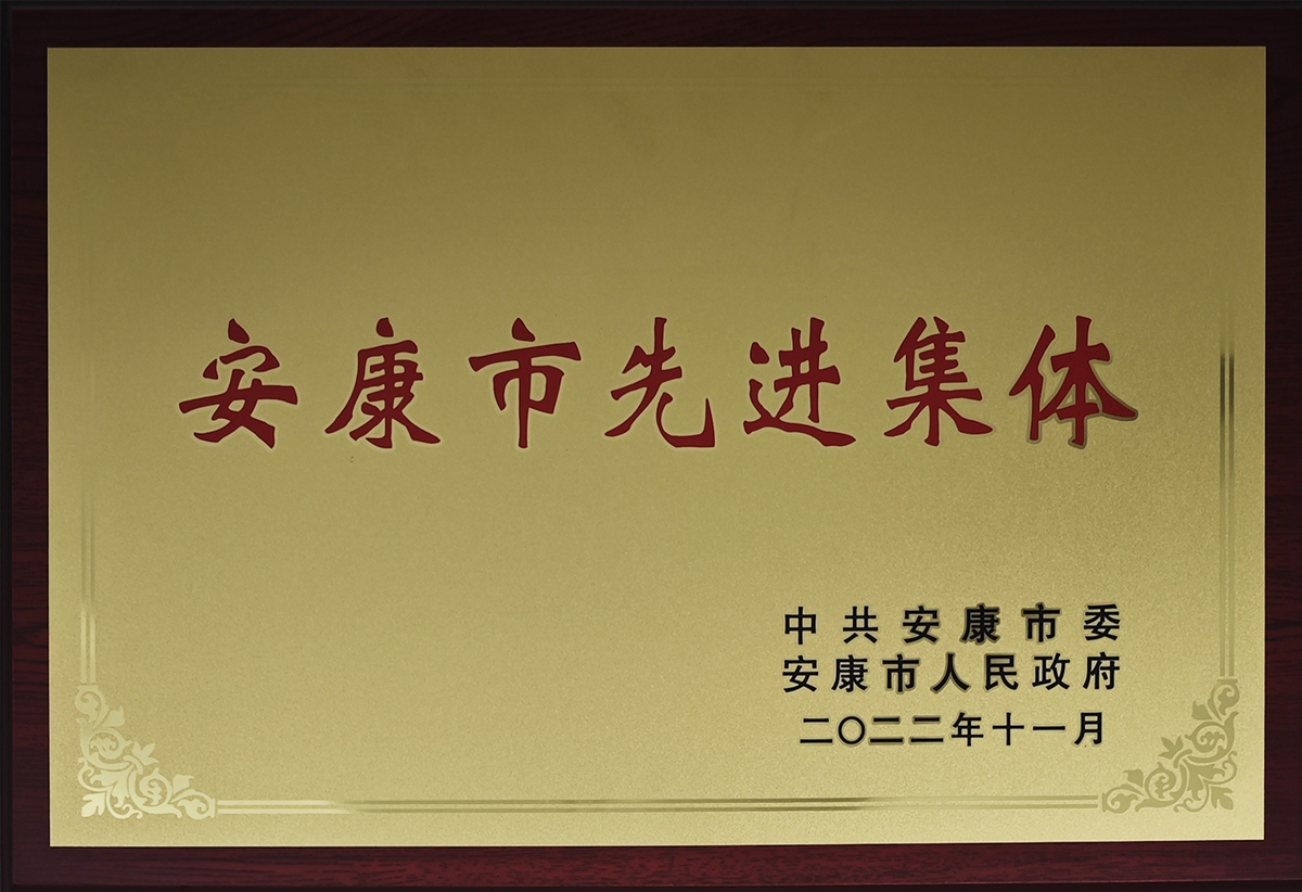 安康市先进集体