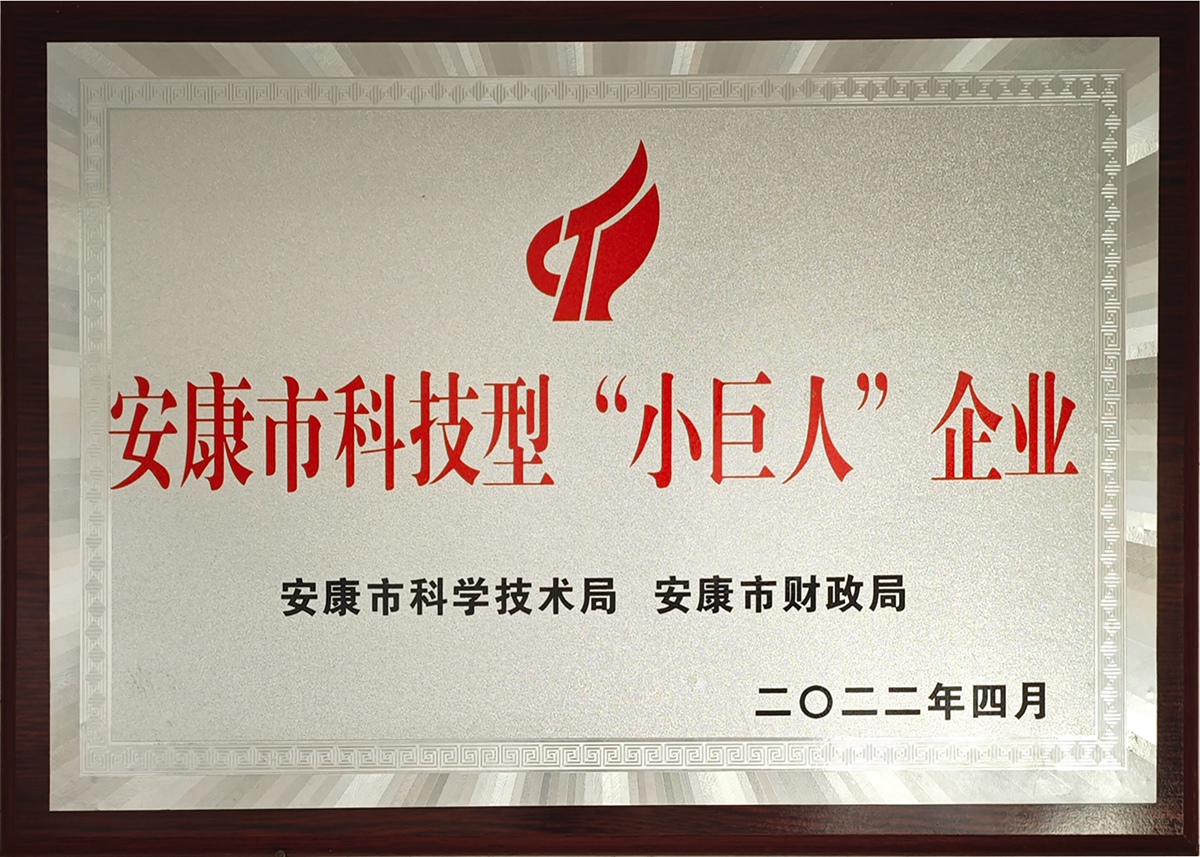 安康市科技型“小巨人”企业