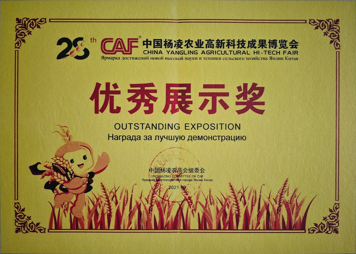 优秀展示奖