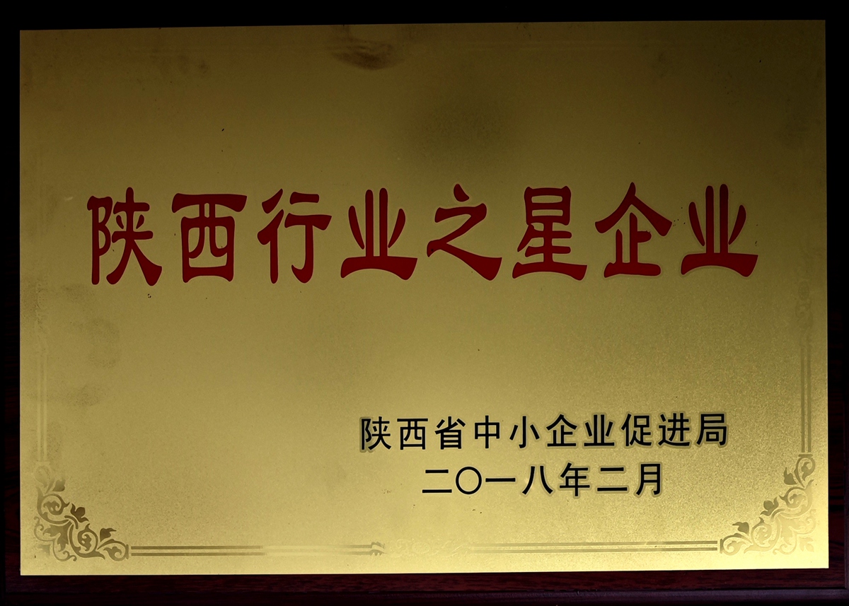 陕西行业之星企业